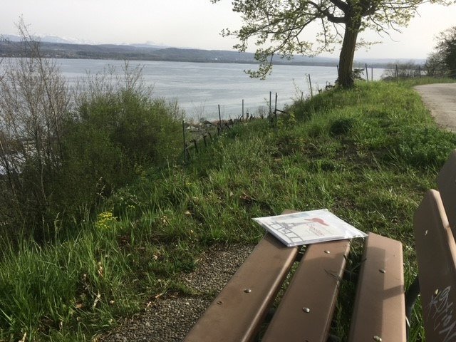 Livres sur les bancs